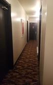 Туры в отель Royal Oak Inn