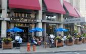 Туры в отель The Windsor Suites