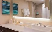 Туры в отель Hyatt Regency Austin
