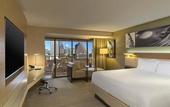 Туры в отель Hyatt Regency Austin