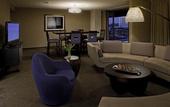 Туры в отель Hyatt Regency Austin
