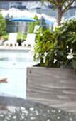 Туры в отель Hotel Ruby Foo's