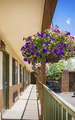 Туры в отель The Sage Hotel