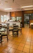 Туры в отель Coral Tree Inn
