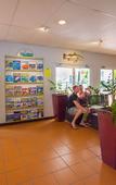 Туры в отель Coral Tree Inn
