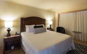 Туры в отель InterContinental Medellin - Movich by IHG