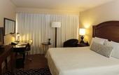 Туры в отель InterContinental Medellin - Movich by IHG