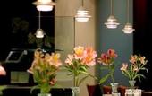 Туры в отель Holiday Inn Bloomsbury