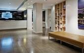 Туры в отель Holiday Inn Bloomsbury