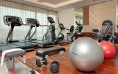 Туры в отель Holiday Inn Mumbai International Airport