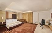 Туры в отель Holiday Inn Mumbai International Airport