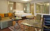 Туры в отель Holiday Inn Mumbai International Airport