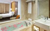 Туры в отель Holiday Inn Mumbai International Airport