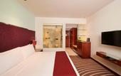 Туры в отель Holiday Inn Mumbai International Airport