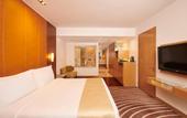 Туры в отель Holiday Inn Mumbai International Airport
