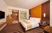 Туры в отель Holiday Inn Mumbai International Airport