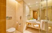 Туры в отель Holiday Inn Mumbai International Airport