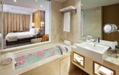 Туры в отель Holiday Inn Mumbai International Airport