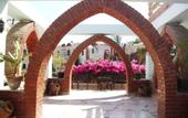 Туры в отель Amar Sina Egyptian Village