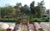 Туры в отель Amar Sina Egyptian Village