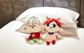 Туры в отель Huachen International Hotel