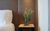 Туры в отель Hotel Aloisi