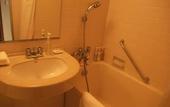 Туры в отель Holiday Inn ANA Kanazawa Sky by IHG