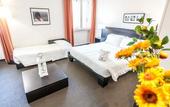 Туры в отель Hotel Mosaico