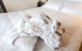 Туры в отель Hotel Mosaico