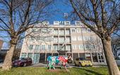 Туры в отель Hotel Mosaico
