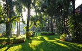 Туры в отель Felix River Kwai Resort