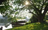 Туры в отель Felix River Kwai Resort
