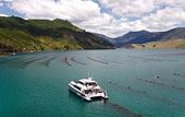Туры в отель Carnmore Chateau Marlborough