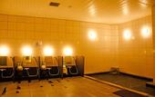 Туры в отель Marroad International Hotel Narita