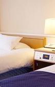 Туры в отель Marroad International Hotel Narita