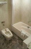 Туры в отель Marroad International Hotel Narita