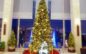 Туры в отель Marroad International Hotel Narita