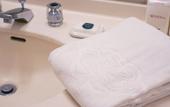 Туры в отель Marroad International Hotel Narita