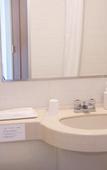 Туры в отель Marroad International Hotel Narita