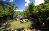 Туры в отель Miyama Ouan