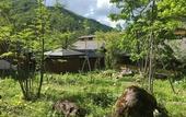 Туры в отель Miyama Ouan