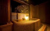 Туры в отель Hakone Ryori Yado Kyuan