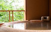 Туры в отель Hakone Ryori Yado Kyuan