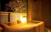Туры в отель Hakone Ryori Yado Kyuan