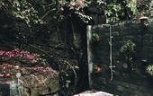 Туры в отель Mua Caves Ecolodge