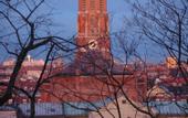 Туры в отель Hotel Prinz