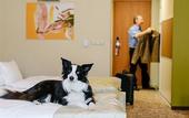 Туры в отель Corso Hotel Pecs
