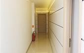 Туры в отель Hotel De KOKA