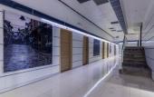 Туры в отель Hotel De KOKA