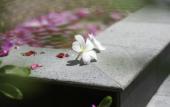 Туры в отель Furaveri Maldives